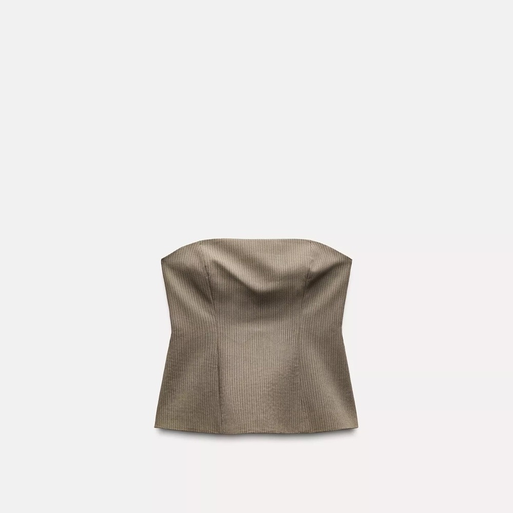 Zara Brown Strapless Top